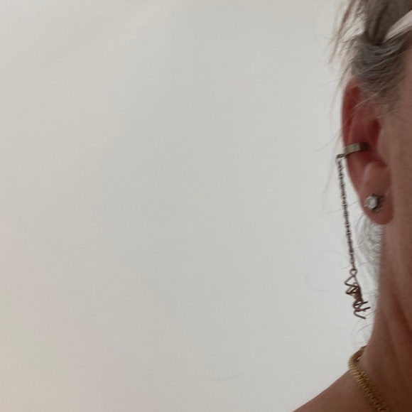 Spider on a Leash - Picture 8 of 8